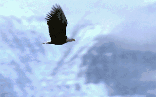 【企业动态】威帝股份新增1件判决结果涉及买卖合同纠纷