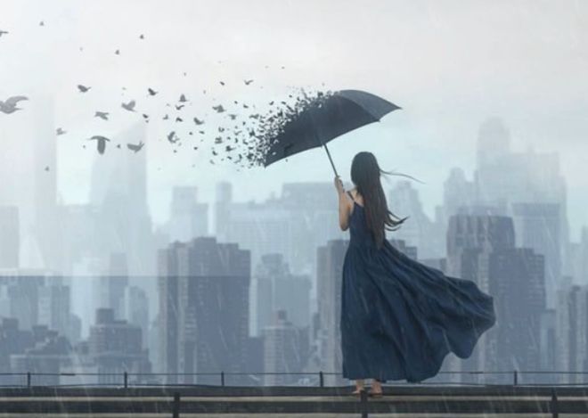 摄影中的高级灰：从概念到实践的光影诗学